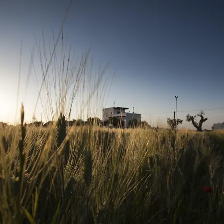 Gospodarstwo agroturystyczne Masseria Stella *