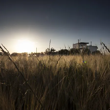 Masseria Stella Gioia Del Colle
