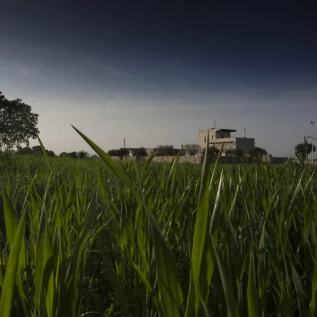 Masseria Stella Agroturismo Gioia Del Colle